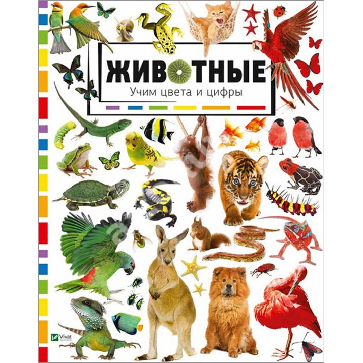 Животные. Учим цвета и цифры - (978-617-690-924-8)