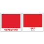 Кольори/Colors. 40 міні карток - Методика Глена Домана (2100064095757)