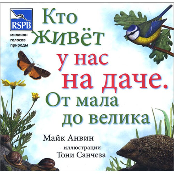Кто живет у нас на даче. От мала до велика - Майк Анвин (978-5-00074-157-3)