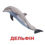 Мої перші знання. Великі ламіновані картки з фактами (40 карток). -