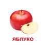 Мої перші знання. Великі ламіновані картки з фактами (40 карток). -