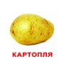 Овочі. Великі ламіновані картки з фактами (20 карток). 200 цікавих фактів та 80 завдань та загадок! -