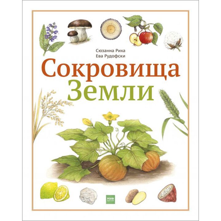Сокровища Земли - Сюзанна Риха (978-5-00100-832-3)