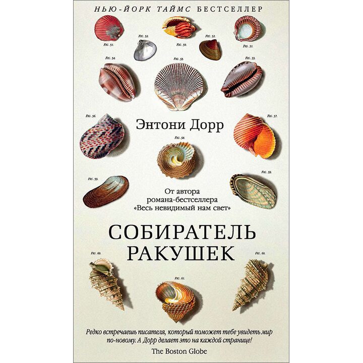 Собиратель ракушек - Энтони Дорр (978-5-389-10003-9)