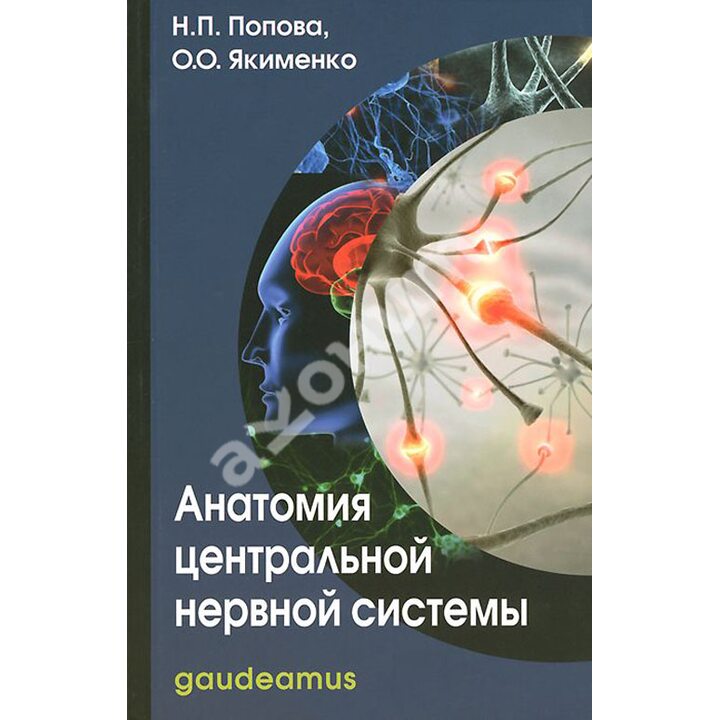 Анатомия центральной нервной системы - Надежда Попова, Оксана Якименко (978-5-8291-1607-1)