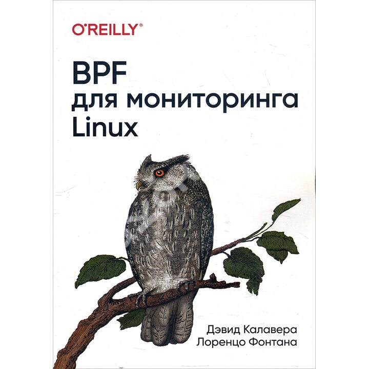 BPF для мониторинга Linux - Дэвид Калавера, Лоренцо Фонтана (978-5-4461-1624-9)