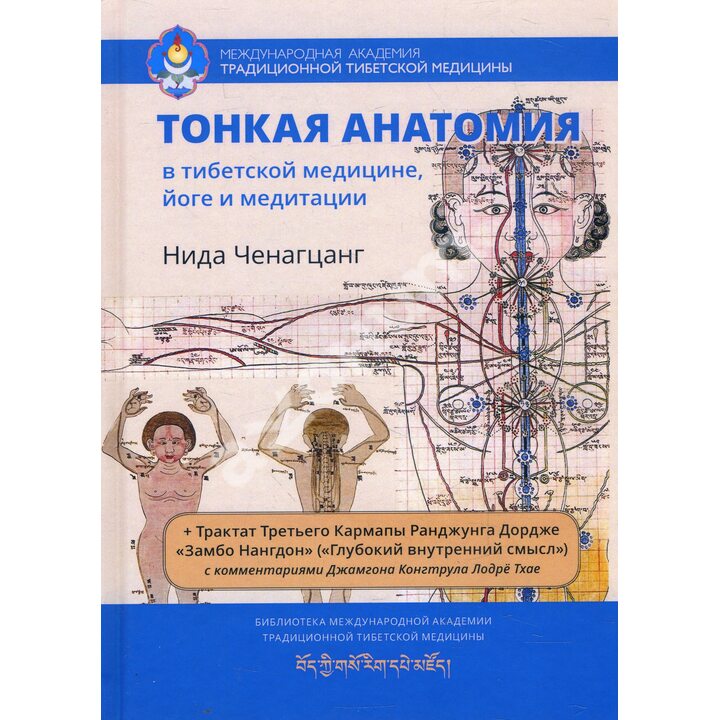 Тонкая анатомия в тибетской медицине, йоге и медитации. Ключ к энергетической структуре человека - Нида Ченагцанг (978-5-907243-06-4)