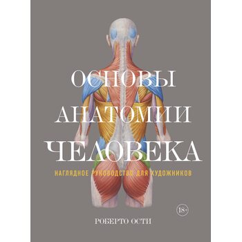 Основы анатомии человека. Наглядное руководство для художников