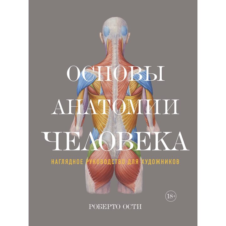 Основы анатомии человека. Наглядное руководство для художников - Роберто Ости (978-5-389-12861-3)