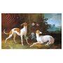 Такие разные собаки в произведениях искусства - Энгус Хайленд, Кендра Уилсон (978-5-389-16689-9)