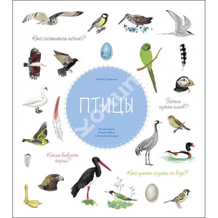 Птицы - Натали Торджман (978-5-9951-4638-4)