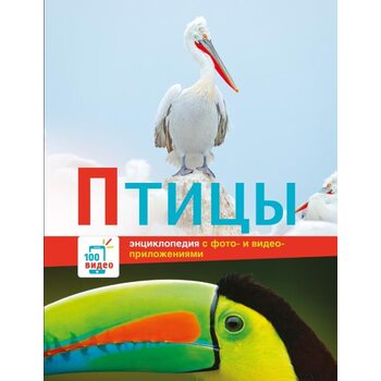 Птахи