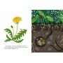 Беспокойная гусеница - Мария Тролле (978-5-389-18147-2)