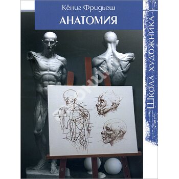 Анатомія . школа художника 
