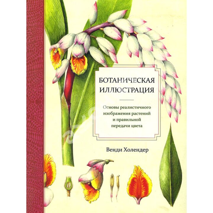 Ботаническая иллюстрация - Венди Холендер (978-985-15-2958-8)