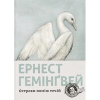 Острови поміж течій