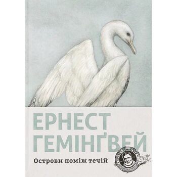Острови поміж течій