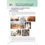 Історія України 8 клас. Підручник - Олена Пометун, Нестор Гупан, Ольга Дудар (978-966-983-560-4)
