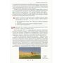 Українська література 11 клас (рівень стандаорту). Підручник - Олександр Авраменко (978-966-349-990-1)