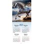 Календар 2026. Рік скакуна - (9771999932061)