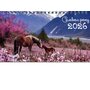 Календар-трикутник настільний перекидний 2026. Символ року -